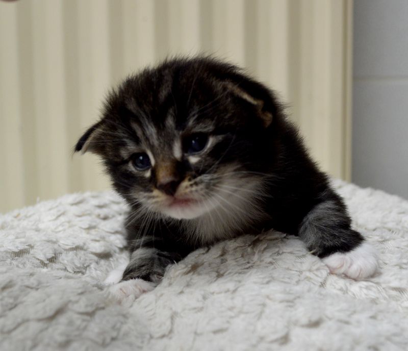 L'échographie semblait en montrer deux, mais nous n'avons vu venir qu'un seul, gros bébé.